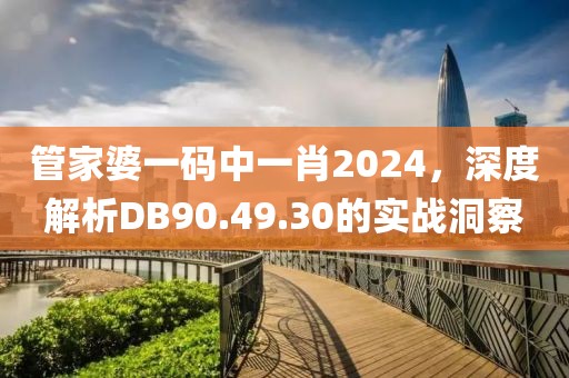 管家婆一码中一肖2024，深度解析DB90.49.30的实战洞察