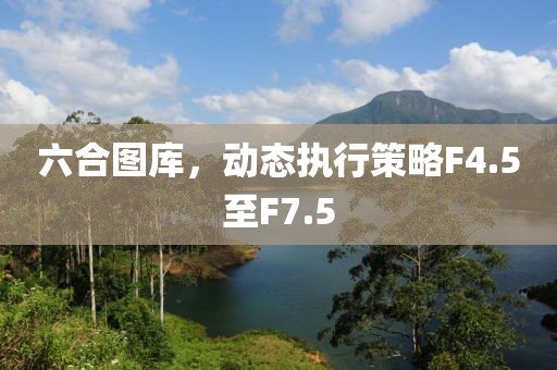 六合图库，动态执行策略F4.5至F7.5