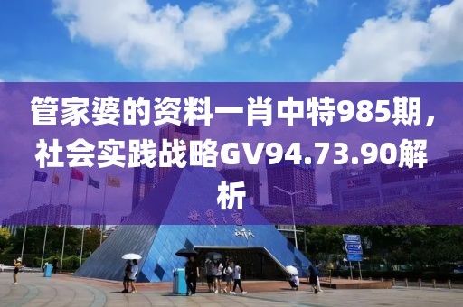 管家婆的资料一肖中特985期，社会实践战略GV94.73.90解析