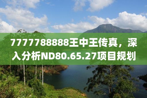 7777788888王中王传真，深入分析ND80.65.27项目规划