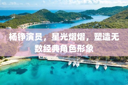 杨铮演员，星光熠熠，塑造无数经典角色形象