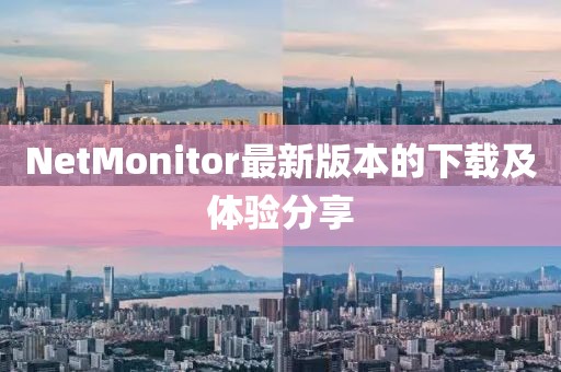 NetMonitor最新版本的下载及体验分享