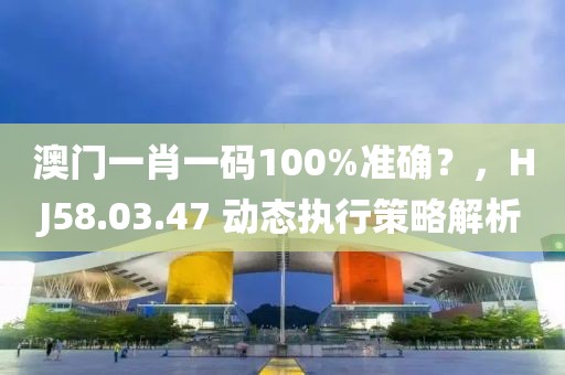 澳门一肖一码100%准确？，HJ58.03.47 动态执行策略解析