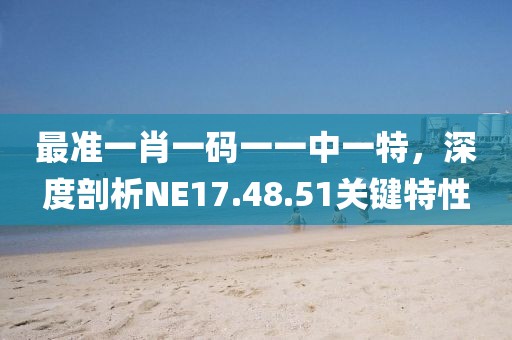 最准一肖一码一一中一特，深度剖析NE17.48.51关键特性