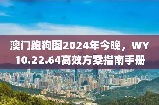 旅行者归来 第24页