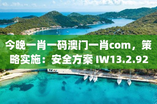 今晚一肖一码澳门一肖com，策略实施：安全方案 IW13.2.92