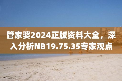管家婆2024正版资料大全，深入分析NB19.75.35专家观点