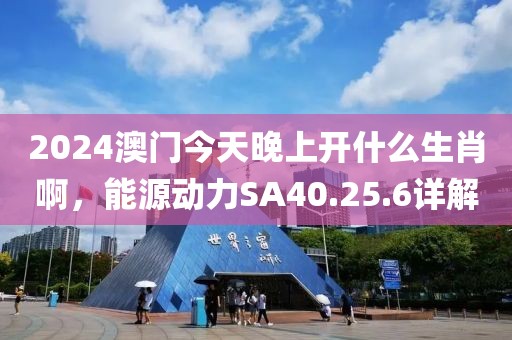 2024澳门今天晚上开什么生肖啊，能源动力SA40.25.6详解