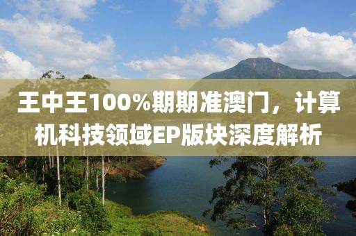 王中王100%期期准澳门，计算机科技领域EP版块深度解析