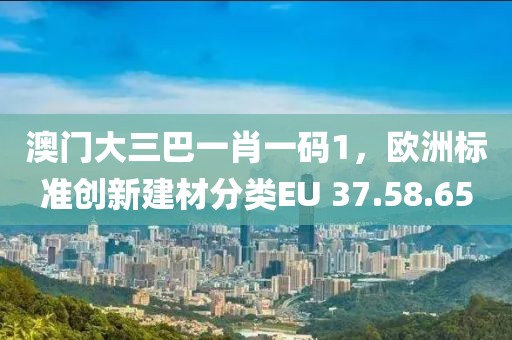 澳门大三巴一肖一码1，欧洲标准创新建材分类EU 37.58.65