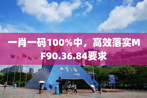一肖一码100%中，高效落实MF90.36.84要求