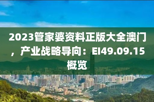 2023管家婆资料正版大全澳门，产业战略导向：EI49.09.15概览
