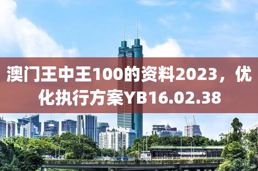 澳门王中王100的资料2023，优化执行方案YB16.02.38