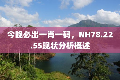 今晚必出一肖一码，NH78.22.55现状分析概述