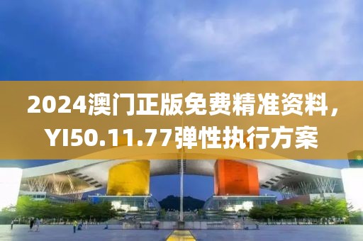 2024澳门正版免费精准资料，YI50.11.77弹性执行方案
