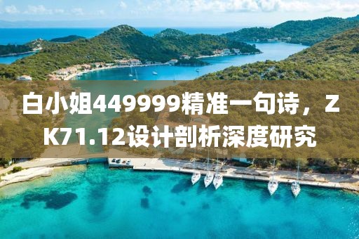 白小姐449999精准一句诗，ZK71.12设计剖析深度研究