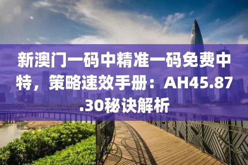 新澳门一码中精准一码免费中特，策略速效手册：AH45.87.30秘诀解析