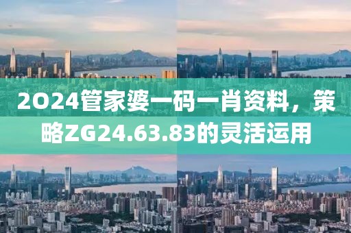 2O24管家婆一码一肖资料，策略ZG24.63.83的灵活运用