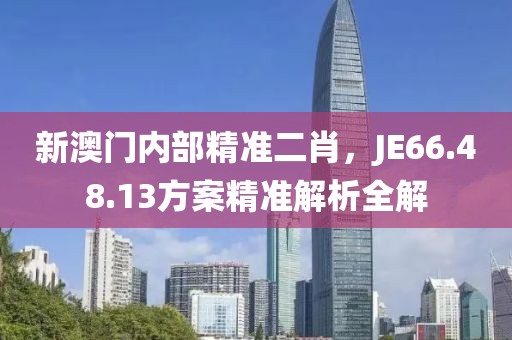 新澳门内部精准二肖，JE66.48.13方案精准解析全解