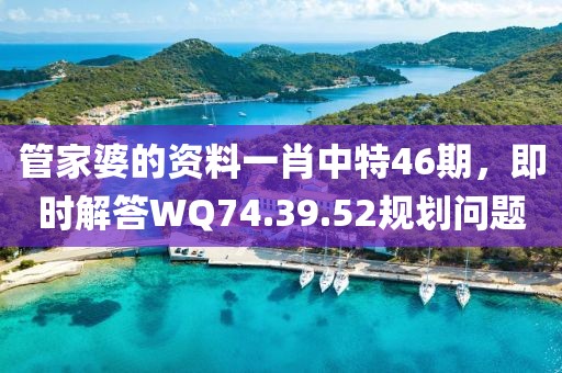 管家婆的资料一肖中特46期，即时解答WQ74.39.52规划问题