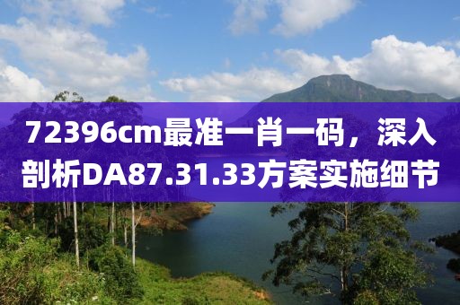 72396cm最准一肖一码，深入剖析DA87.31.33方案实施细节