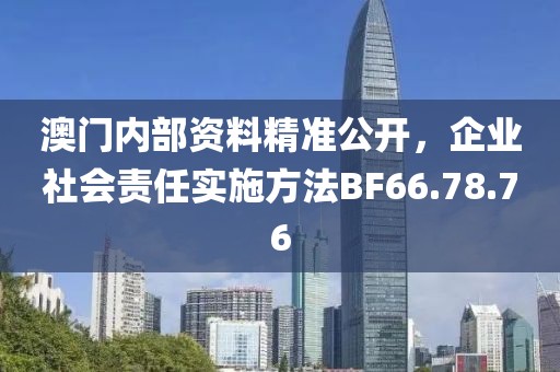 澳门内部资料精准公开，企业社会责任实施方法BF66.78.76