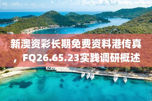 新澳资彩长期免费资料港传真，FQ26.65.23实践调研概述
