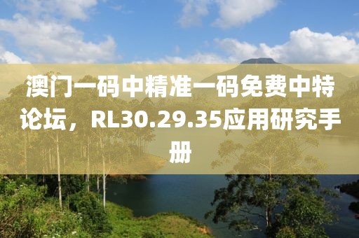 澳门一码中精准一码免费中特论坛，RL30.29.35应用研究手册