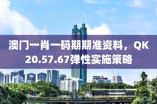 澳门一肖一码期期准资料，QK20.57.67弹性实施策略