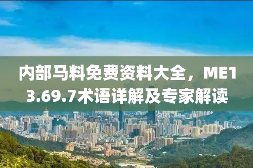 内部马料免费资料大全，ME13.69.7术语详解及专家解读