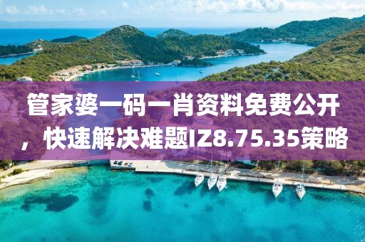 管家婆一码一肖资料免费公开，快速解决难题IZ8.75.35策略