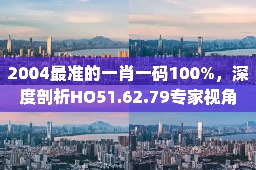 2004最准的一肖一码100%，深度剖析HO51.62.79专家视角
