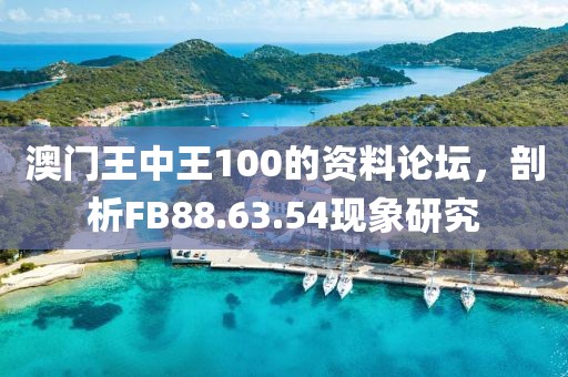 澳门王中王100的资料论坛，剖析FB88.63.54现象研究
