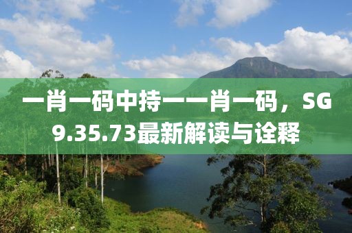 一肖一码中持一一肖一码，SG9.35.73最新解读与诠释