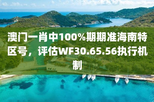 澳门一肖中100%期期准海南特区号，评估WF30.65.56执行机制