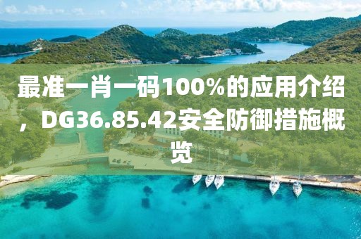 最准一肖一码100%的应用介绍，DG36.85.42安全防御措施概览
