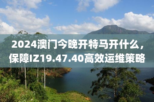 2024澳门今晚开特马开什么，保障IZ19.47.40高效运维策略