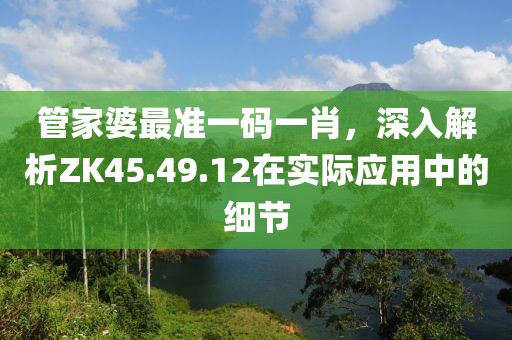 管家婆最准一码一肖，深入解析ZK45.49.12在实际应用中的细节