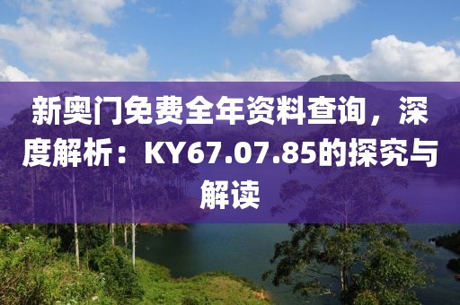 新奥门免费全年资料查询，深度解析：KY67.07.85的探究与解读