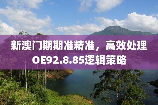 新澳门期期准精准，高效处理OE92.8.85逻辑策略
