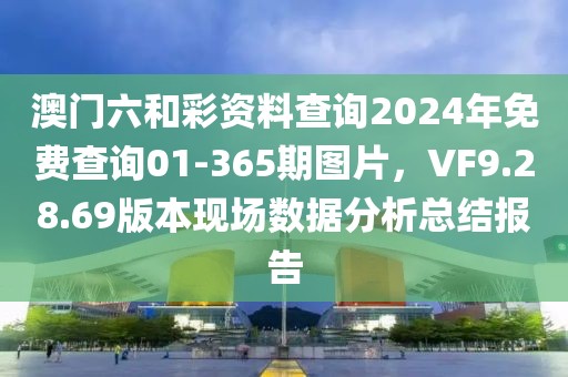 澳门六和彩资料查询2024年免费查询01-365期图片，VF9.28.69版本现场数据分析总结报告