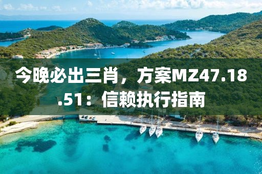 今晚必出三肖，方案MZ47.18.51：信赖执行指南