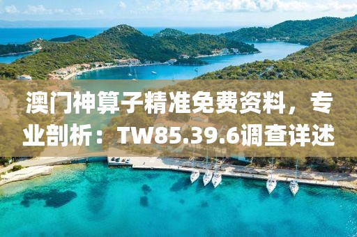 澳门神算子精准免费资料，专业剖析：TW85.39.6调查详述