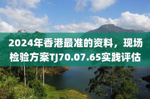 2024年香港最准的资料，现场检验方案TJ70.07.65实践评估