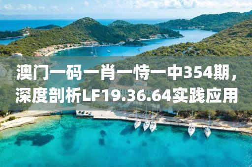 澳门一码一肖一恃一中354期，深度剖析LF19.36.64实践应用