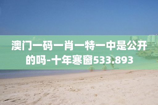 澳门一码一肖一特一中是公开的吗-十年寒窗533.893