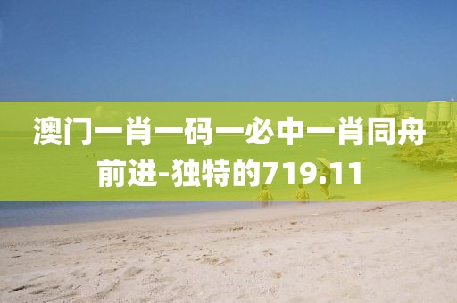 澳门一肖一码一必中一肖同舟前进-独特的719.11