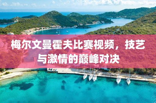 梅尔文曼霍夫比赛视频，技艺与激情的巅峰对决