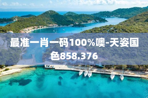 最准一肖一码100%噢-天姿国色858.376