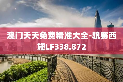 澳门天天免费精准大全-貌赛西施LF338.872